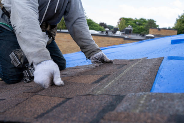 Best Metal Roofing Installation  in Jacksonvle, IL