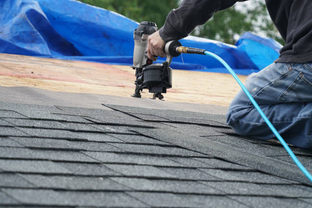 Best Roof Coating and Sealing  in Jacksonvle, IL